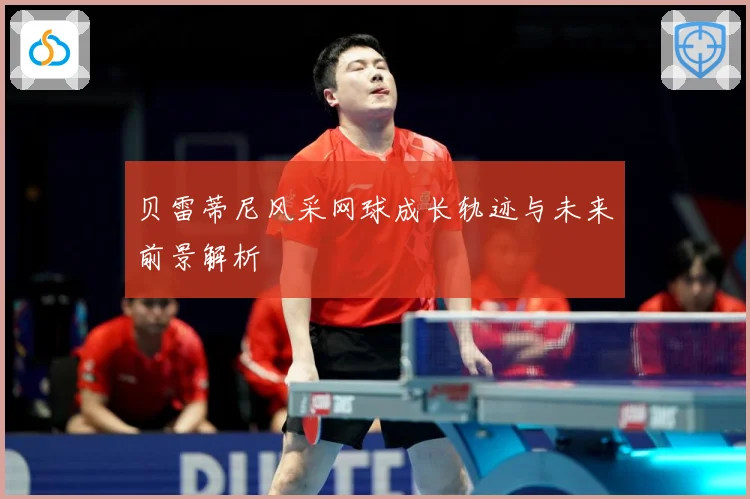 贝雷蒂尼风采网球成长轨迹与未来前景解析