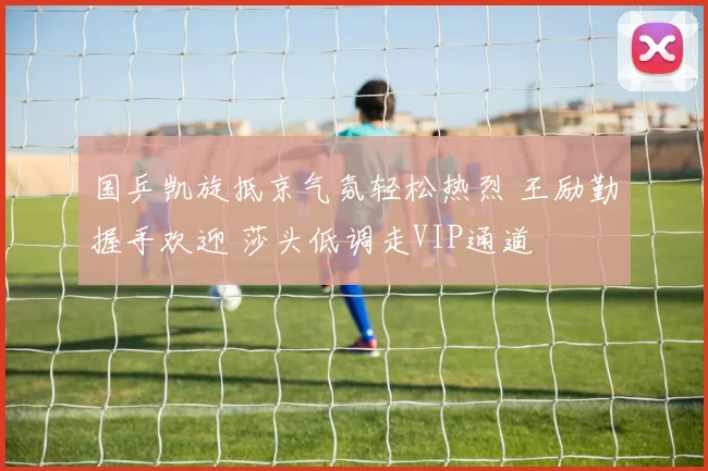 国乒凯旋抵京气氛轻松热烈 王励勤握手欢迎 莎头低调走VIP通道